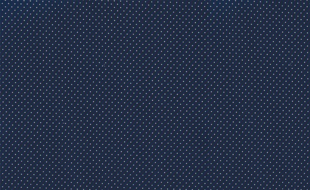 Blue with White Pin Dot Shirt / PRT-58