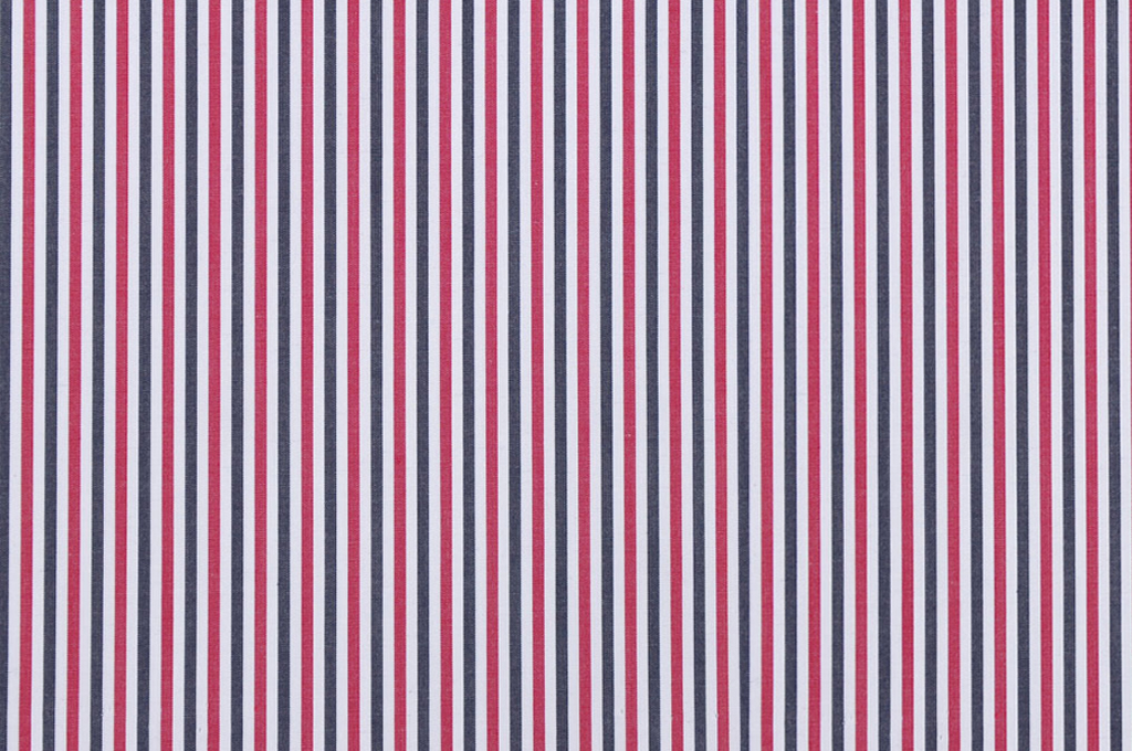 Navy and Red Bold Stripe Shirt / 756176