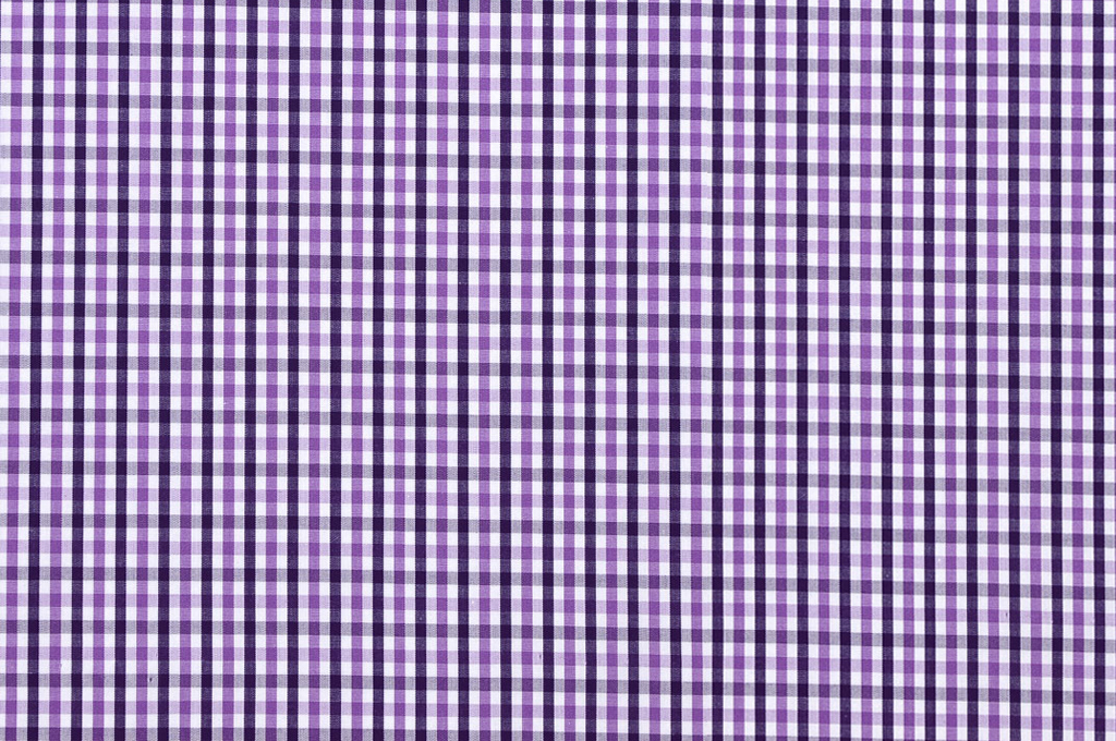Purple Mini Gingham Shirt / 756179